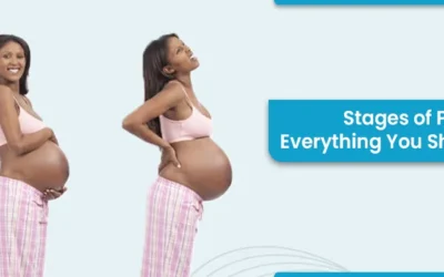 Stages of Pregnancy: Everything you should know about.