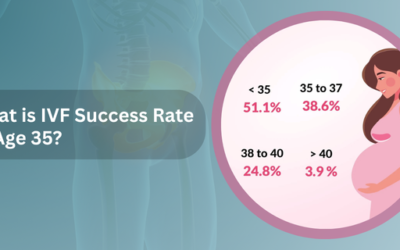 What is IVF Success Rate at Age 35?
