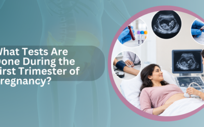 What Tests Are Done During the First Trimester of Pregnancy?